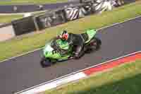 Evening Low_Mid Group Green Bikes